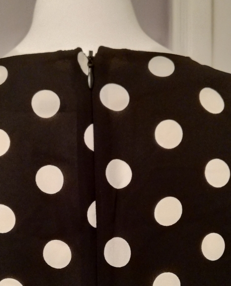 Sheer Polka Dot Black and White Blouse - Picture 2 of 4